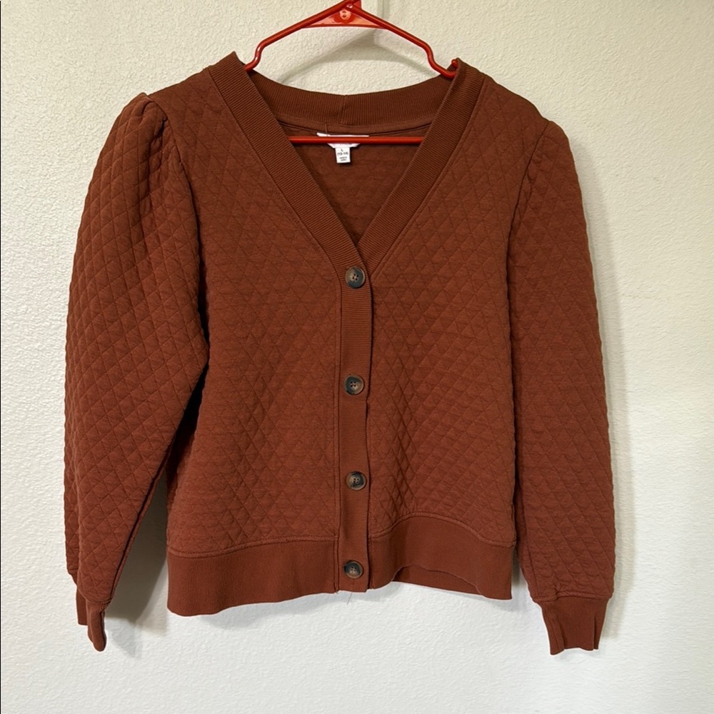 Time and Tru Brown Cardigan Sweater